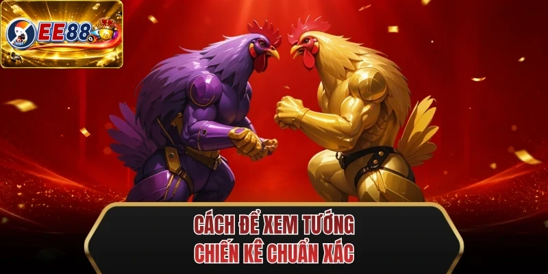cach de xem tuong chien ke chuan xac cach de xem tuong chien ke chuan xac