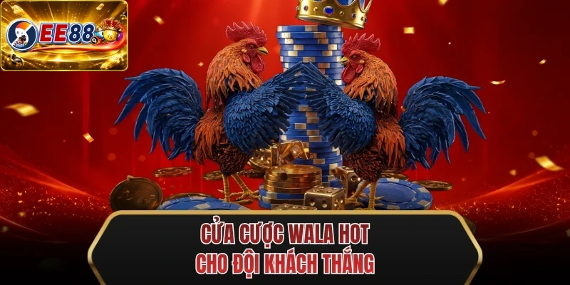 cua cuoc wala hot cho doi khach thang cua cuoc wala hot cho doi khach thang