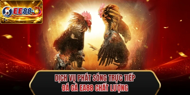 dich vu phat song truc tiep da ga ee88 chat luong dich vu phat song truc tiep da ga ee88 chat luong
